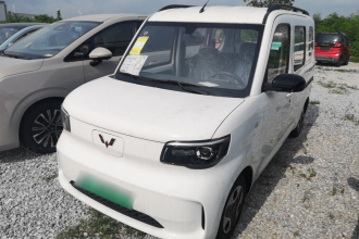 五菱汽车 五菱之光新能源 2025款 305km 进取型