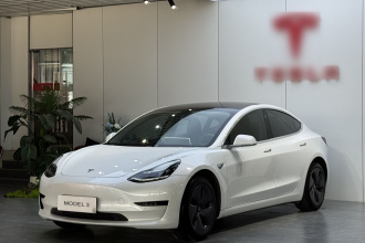 特斯拉 Model 3(进口) 2019款 标准续航后驱升级版