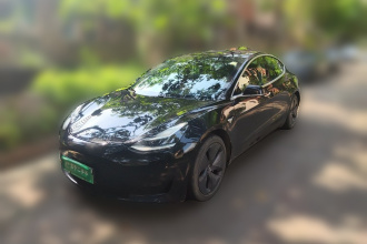 特斯拉 Model 3 2020款 改款 标准续航后驱升级版