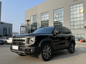 哈弗大狗 2024款 1.5T DCT边牧版