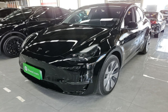 特斯拉 Model Y 2022款 改款 长续航全轮驱动版
