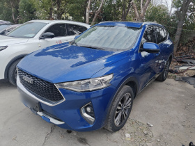 哈弗F7 2019款 2.0T 两驱i范 国VI
