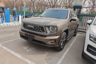 哈弗大狗 PLUS 2023款 2.0T 四驱潮野Plus