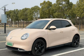 欧拉好猫 2024款 401km 尊荣型 126kW