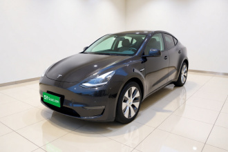 特斯拉 Model Y 2021款 长续航全轮驱动版 3D7
