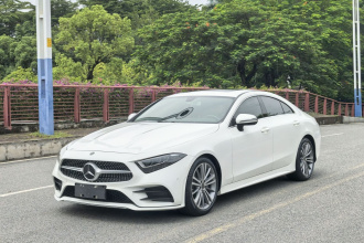 奔驰CLS 2020款 CLS 300 动感型