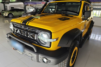 坦克300 2022款 2.0T 边境限定版