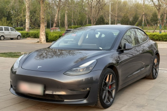 特斯拉 Model 3 2021款 Performance高性能全轮驱动版