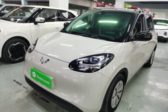 五菱汽车 五菱缤果 2023款 203km 轻享款