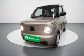 吉利银河 2024款 熊猫mini 200km 耐力熊