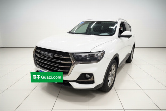 哈弗H6 2021款 国潮版 1.5T 自动冠军版