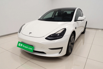 特斯拉 Model 3 2021款 标准续航后驱升级版