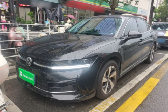 大众 迈腾 2024款  300TSI DSG尊享版显眼包