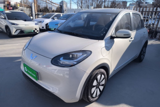 五菱汽车 五菱缤果 2023款 333km 快享款