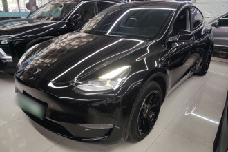 特斯拉 Model Y 2021款 标准续航后驱版