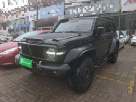 坦克300 2023款 2.0T 铁骑02