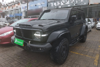 坦克300 2023款 2.0T 铁骑02