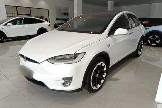 特斯拉 Model X 2019款 长续航版