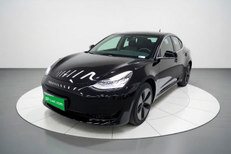 特斯拉 Model 3 2020款 改款 标准续航后驱升级版
