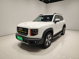 哈弗大狗 2021款 1.5T DCT两驱拉布拉多版