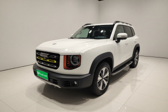 哈弗大狗 2021款 1.5T DCT两驱拉布拉多版