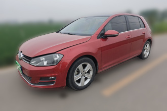 大众 高尔夫 2015款 1.4TSI 自动豪华型