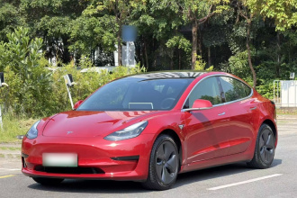 特斯拉 Model 3 2020款 改款 标准续航后驱升级版
