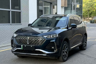 魏牌 拿铁DHT-PHEV 2022款 1.5T 四驱超大杯