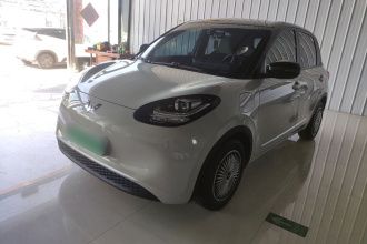 五菱汽车 五菱缤果 2023款 333km 快享款