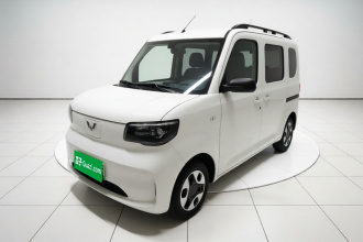 五菱汽车 五菱之光新能源 2025款 305km 进取型
