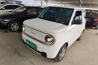 吉利银河 2023款 熊猫mini 200km 耐力熊