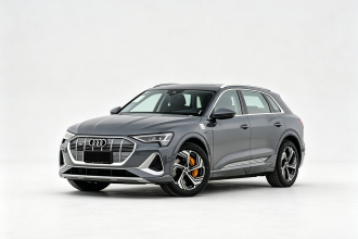 奥迪e-tron 2021款 50 quattro 臻选型