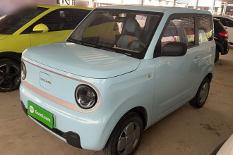 吉利银河 2023款 熊猫mini 200km 耐力熊