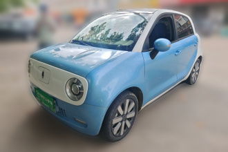欧拉黑猫 2021款 351km 标准型