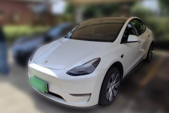 特斯拉 Model Y 2021款 标准续航后驱版