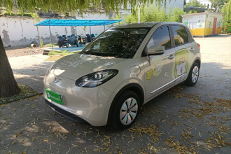 五菱汽车 五菱缤果 2024款 203km 轻享款