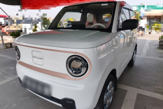 吉利银河 2024款 改款 熊猫mini 200km 龙腾版