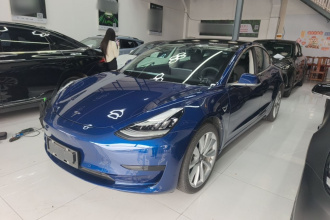 特斯拉 Model 3 2020款 改款 标准续航后驱升级版
