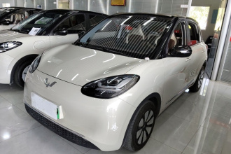 五菱汽车 五菱缤果 2023款 203km 舒享款