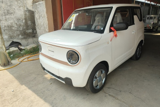 吉利银河 2024款 熊猫mini 200km 耐力熊