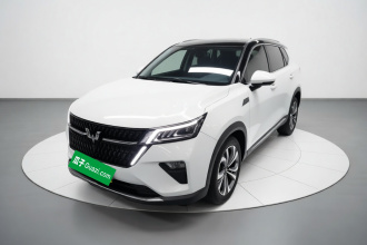 五菱汽车 五菱星辰 2022款 2.0L DHT电速款
