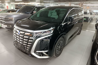 腾势D9 2024款 DM-i 1050 尊享型