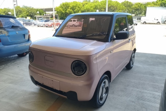 吉利银河 2023款 熊猫mini 200km 灵动熊