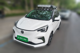 长安 奔奔E-Star 2020款 心动版 三元锂