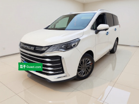 上汽大通MAXUS 大通G50 2021款 PLUS 1.5T 自动护航版