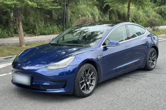 特斯拉 Model 3 2019款 标准续航后驱升级版