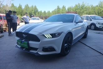 福特 Mustang 2015款 2.3T 50周年纪念版