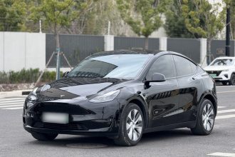 特斯拉 Model Y 2021款 标准续航后驱版