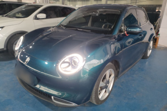 欧拉好猫 2022款 400km标准续航 尊贵型 磷酸铁锂