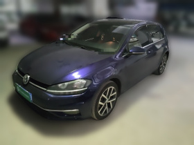 大众 高尔夫 2018款  230TSI 自动豪华型